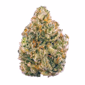 Cherry Gorilla