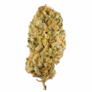 CANNABIS STRAINS
