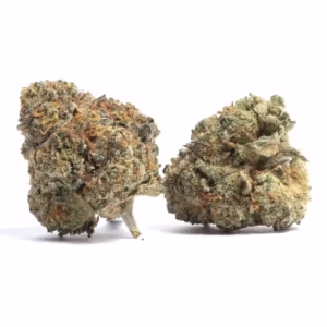 Platinum Purple Kush