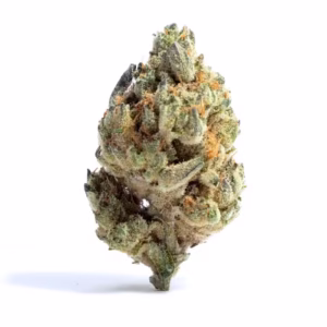 Royal Haze