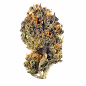 Royal Purple Kush